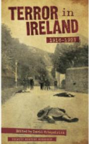 David Fitzpatrick - Terror in Ireland 1916 - 1923