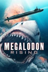 [ OxTorrent sh ] Megalodon Rising<span style=color:#777> 2021</span> FRENCH WEBRiP LD XViD-CZ530