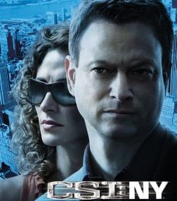 CSI NY S06E11 Second Chances HDTV XviD-FQM