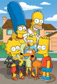 The Simpsons S21E07 Rednecks and Broomsticks HDTV XviD-FQM