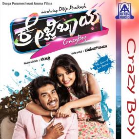 Crazy Boy <span style=color:#777>(2016)</span> Kannada - MP3 - 320Kbps - CBR - [SRI]