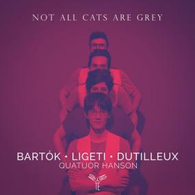 Quatuor Hanson - Not all cats are grey <span style=color:#777>(2021)</span> [24Bit-96kHz] FLAC [PMEDIA] ⭐️