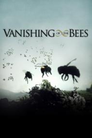 Vanishing Of The Bees <span style=color:#777>(2009)</span> [720p] [WEBRip] <span style=color:#fc9c6d>[YTS]</span>