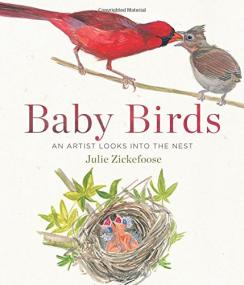 Baby Birds - An Artist Looks Into the Nest <span style=color:#777>(2016)</span> (Epub) Gooner