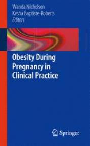 Obesity During Pregnancy in Clinical Practice [2014][PDF+EPUB]-KingMax