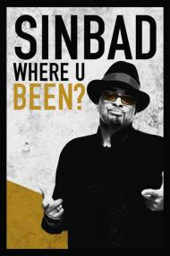 Sinbad Where U Been <span style=color:#777>(2010)</span> [720p] [WEBRip] <span style=color:#fc9c6d>[YTS]</span>
