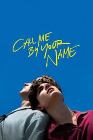Call Me By Your Name <span style=color:#777>(2017)</span> 720p BluRay x264 -[MoviesFD]