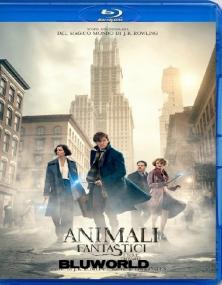 Animali Fantastici E Dove Trovarli<span style=color:#777> 2016</span> ITA ENG 1080p BluRay x264-BLUWORLD