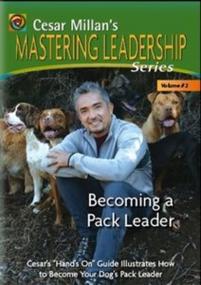 Cesar Millan-Becoming a pack leader VOL 2 WEB-DL 720p x264-HEFF