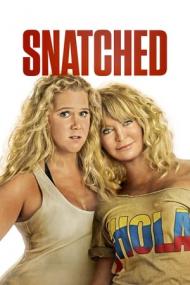 Snatched <span style=color:#777>(2017)</span> 720p BluRay x264 -[MoviesFD]