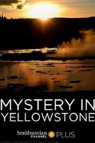 Mystery In Yellowstone <span style=color:#777>(2015)</span> [1080p] [WEBRip] <span style=color:#fc9c6d>[YTS]</span>