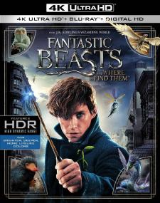 Fantastic Beasts and Where to Find Them<span style=color:#777> 2016</span> Multi 2160p UHD BluRay HEVC HDR Atmos7 1-DDR