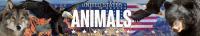United States Of Animals S01 COMPLETE 720p DSNP WEBRip x264<span style=color:#fc9c6d>-GalaxyTV[TGx]</span>