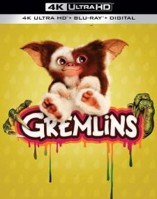 Gremlins<span style=color:#777> 1984</span> COMPLETE UHD BLURAY AViATOR