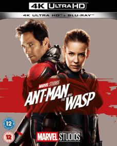 Ant Man and the Wasp<span style=color:#777> 2018</span> IMAX 2160p DSNP WEB-DL DDP5.1 Atmos DoVi-DVT