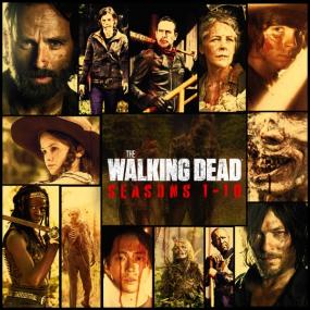The Walking Dead bdrip_[teko]