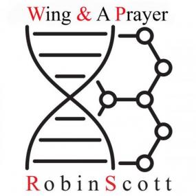 Robin Scott - Wing & A Prayer <span style=color:#777>(2021)</span>