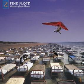 1987 <span style=color:#777>(2021)</span> Pink Floyd - A Momentary Lapse Of Reason (2019 Remix) [24B-96kHz] flac