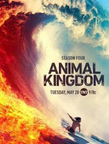 Animal Kingdom<span style=color:#777> 2016</span> S04 FRENCH LD AMZN WEB-DL x264-T911