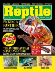 [ CourseMega com ] Practical Reptile Keeping - December<span style=color:#777> 2021</span>