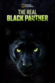 The Real Black Panther<span style=color:#777> 2020</span> HDRip 300MB h264 MP4-Microflix[TGx]