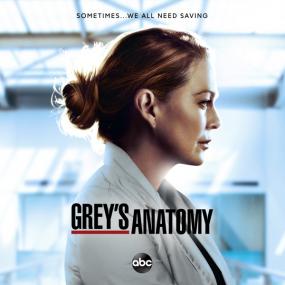 Grey's Anatomy web-dlrip_[teko]