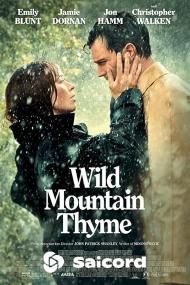 Wild Mountain Thyme <span style=color:#777>(2020)</span> [Hindi Dub] 400p WEB-DLRip Saicord