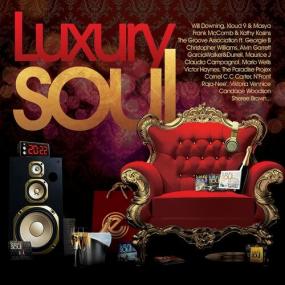 Various Artists - Luxury Soul<span style=color:#777> 2022</span> <span style=color:#777>(2022)</span> Mp3 320kbps [PMEDIA] ⭐️