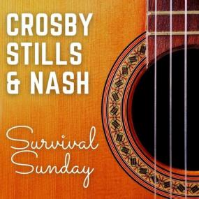 Crosby, Stills & Nash - Crosby, Stills & Nash_ Survival Sunday <span style=color:#777>(2022)</span> FLAC [PMEDIA] ⭐️