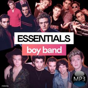 Various Artists - Boy Band Essentials <span style=color:#777>(2022)</span> Mp3 320kbps [PMEDIA] ⭐️