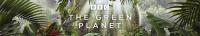 The Green Planet S01E03 WEBRip x264<span style=color:#fc9c6d>-TORRENTGALAXY[TGx]</span>