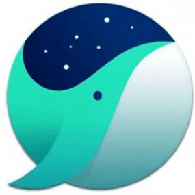 Whale Browser 3.13.131.27 Portable by Cento8
