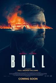 Bull<span style=color:#777> 2021</span> VOSTFR WEBRip XViD-CZ530