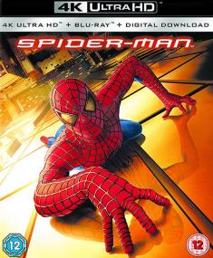 Spider-Man <span style=color:#777>(2002)</span> 2160p H265 10 bit ita eng AC3 5.1 sub ita eng Licdom