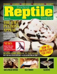 Practical Reptile Keeping - February<span style=color:#777> 2022</span>