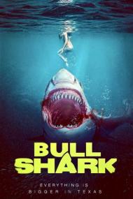Bull Shark<span style=color:#777> 2022</span> 720p WEBRip 800MB x264<span style=color:#fc9c6d>-GalaxyRG[TGx]</span>