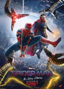Spider-Man: No Way Home<span style=color:#777> 2022</span> BDRip XviD AC3<span style=color:#fc9c6d>-EVO</span>