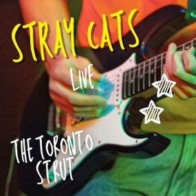 Stray Cats - Stray Cats Live_ The Toronto Strut <span style=color:#777>(2022)</span> Mp3 320kbps [PMEDIA] ⭐️