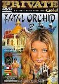 Fatal Orchid 2<span style=color:#777> 1998</span> DVDRip x264<span style=color:#fc9c6d>-worldmkv</span>