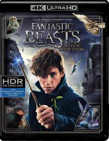Fantastic Beasts and Where to Find Them<span style=color:#777> 2016</span> 2160p UHD BDRemux TrueHD Atmos DoVi P8 Hybrid by DVT