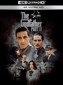 The Godfather Part II<span style=color:#777> 1974</span> BDREMUX 2160p HDR<span style=color:#fc9c6d> seleZen</span>