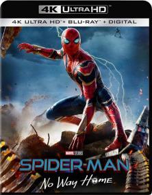 Spider-Man: No Way Home<span style=color:#777> 2021</span> 2160p UHD BDRemux TrueHD Atmos 7 1 DoVi P8 by DVT