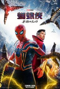 【更多高清电影访问 】蜘蛛侠：英雄无归[中文字幕] Spider-Man: No Way Home<span style=color:#777> 2022</span> BluRay 1080p HEVC 10bit MiniFHD-NewHD