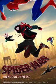 Spider-Man - Un nuovo universo - Into the Spider-Verse (2018 1080p x264 Ita DTS Ac3 Eng Ac3 MultiSub BDrip) [Accid]