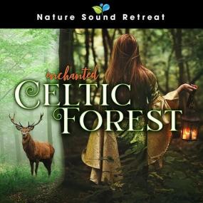 Nature Sound Retreat - Enchanted Celtic Forest <span style=color:#777>(2022)</span> Mp3 320kbps [PMEDIA] ⭐️