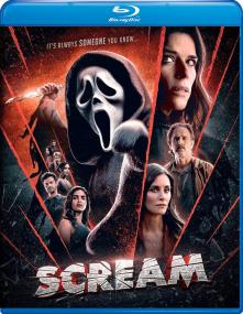 Scream<span style=color:#777> 2022</span> 1080p 10bit BluRay [Org DDP5.1-Hindi+DDP7 1-English] MSubs HEVC-The PunisheR