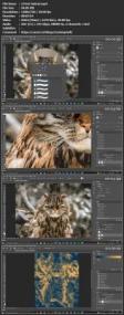 [ CourseMega.com ] Skillshare - How to make an Owlcat in Adobe Photoshop