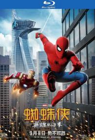 Spider-Man Homecoming<span style=color:#777> 2017</span> BluRay 1080p DTS x264