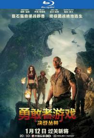 Jumanji Welcome to the Jungle<span style=color:#777> 2017</span> BluRay 1080p DTS x264