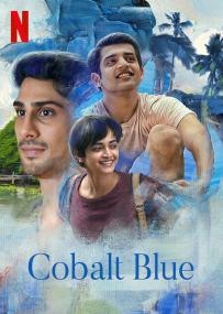 Cobalt Blue <span style=color:#777>(2021)</span> NF Hindi 1080p WEBRip x264 DD 5.1  ESub